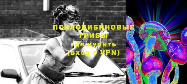 не бодяженный Алексин